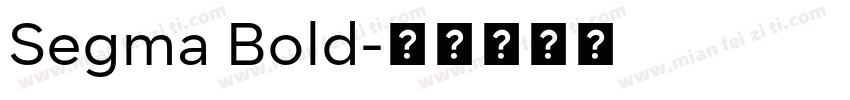 Segma Bold字体转换